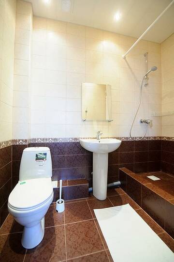 Фото номера Номер комфорт с 1 двуспальной кроватью Гостиница Оазис г. Томск 3